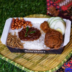 Santan Nasi Lemak Ice Cream