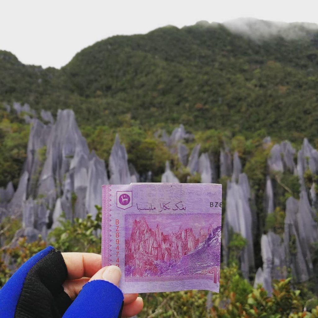 The Gunung Mulu National Park That's Printed On The RM100 Note Is Where ...