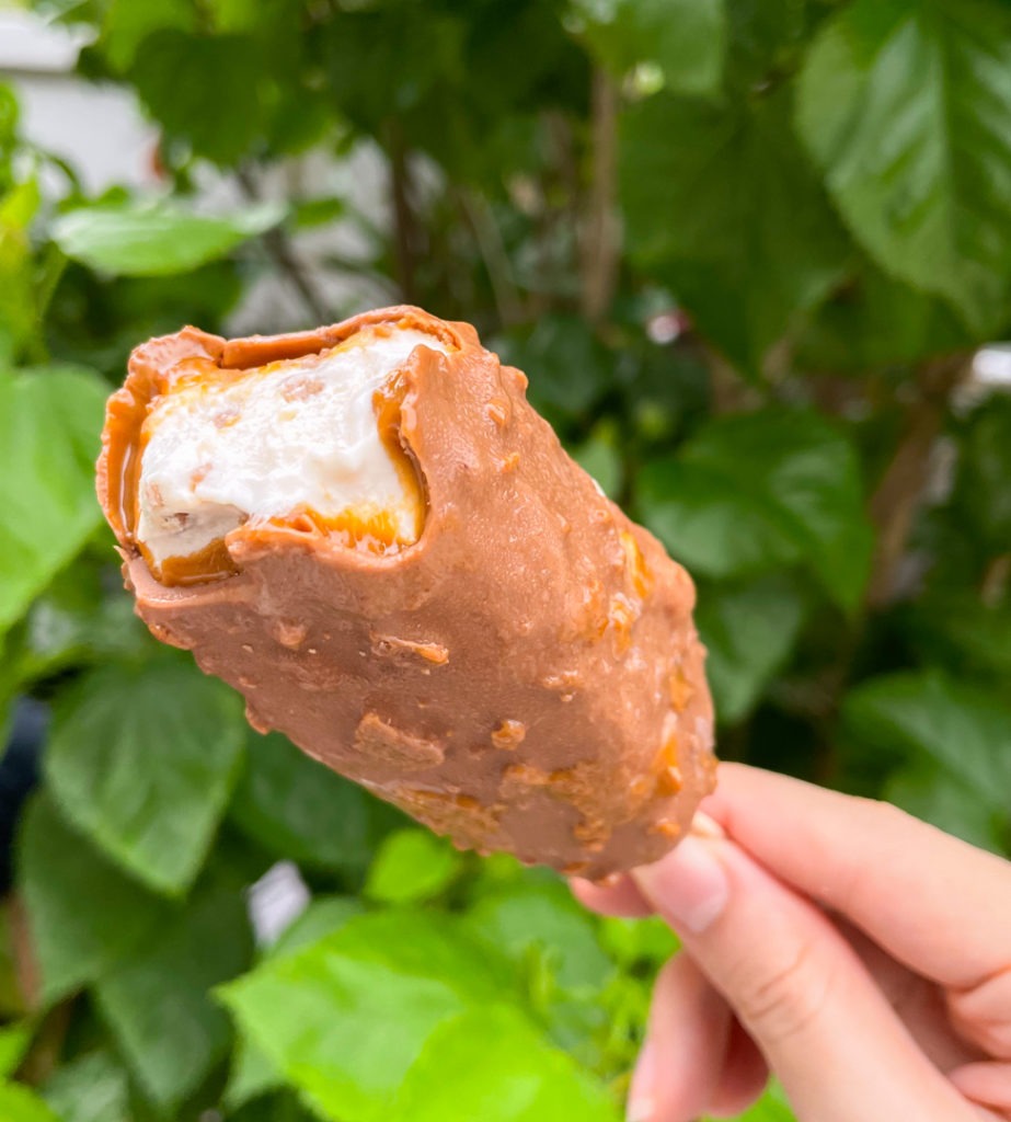 Lotus Biscoff Ice Cream Tub And Sticks Spotted In Malaysia & Here's Where You Can Get Them KL