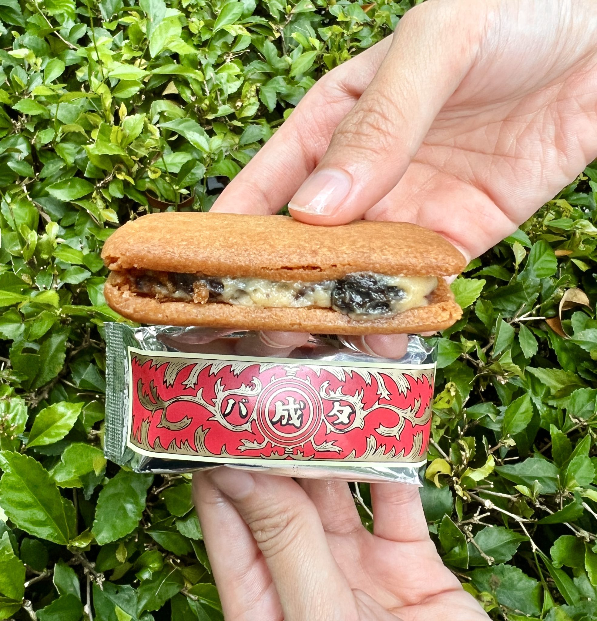 Japan's Famous Rokkatei Cookies Are Now Available For The First Time In