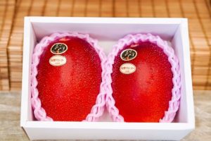 Miyazaki Mangoes