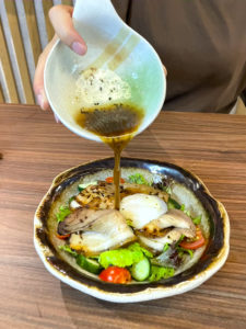 hanei kaya