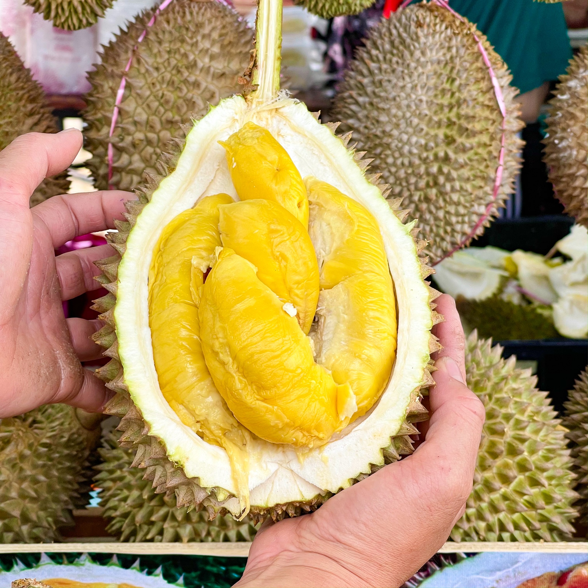 Moodle with a durian flavour. From Malaysia with love.: Chess