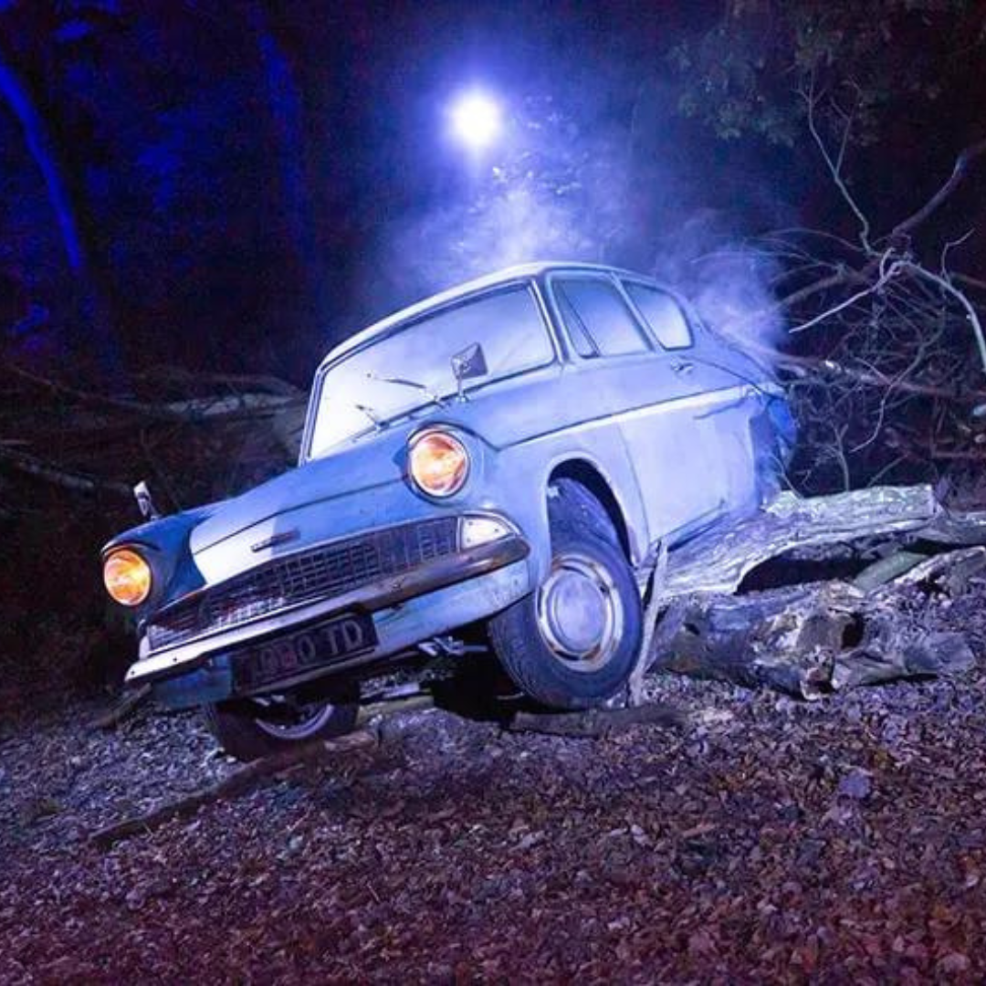 Harry Potter: A Forbidden Forest Experience