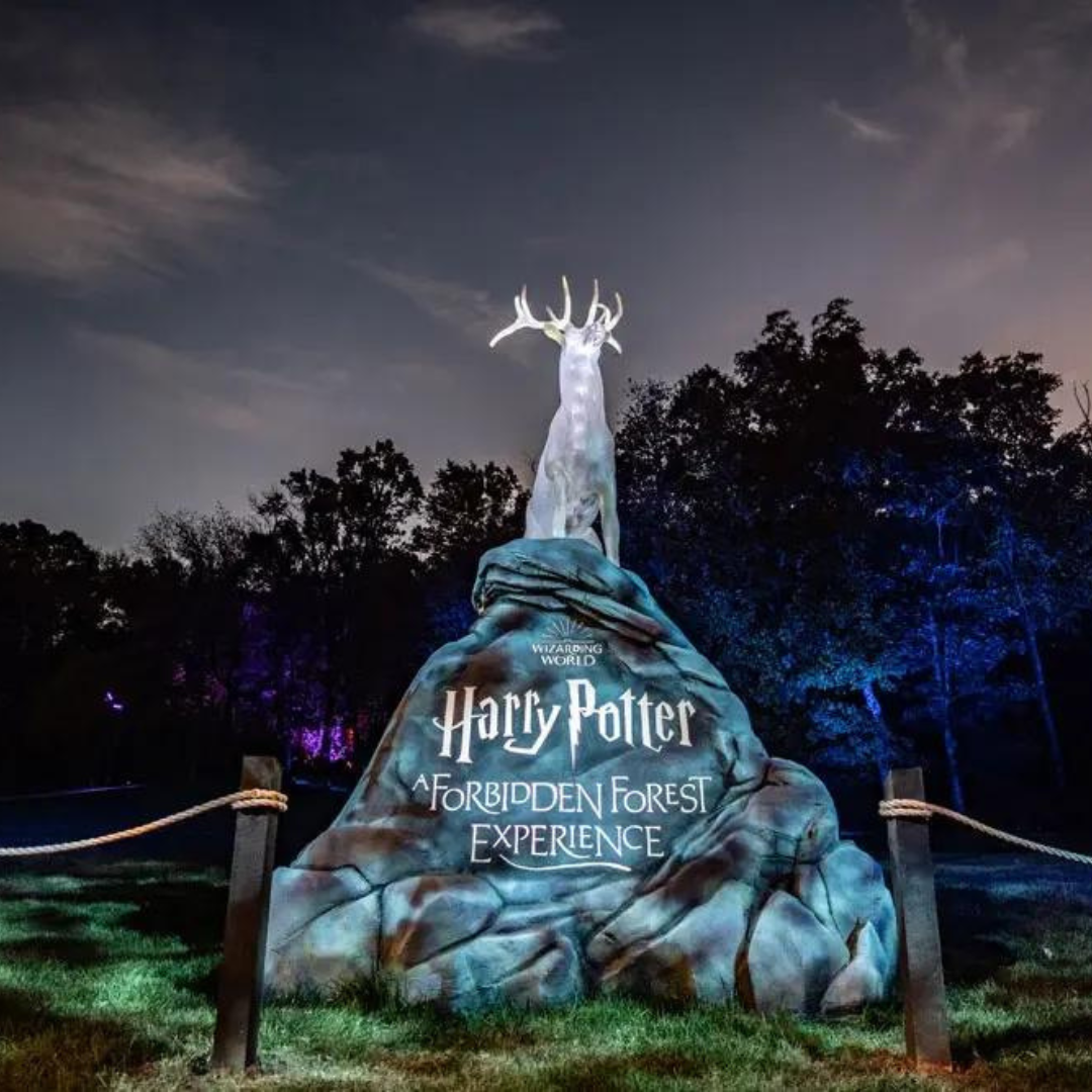 Harry Potter: A Forbidden Forest Experience