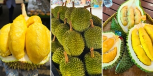 Durian