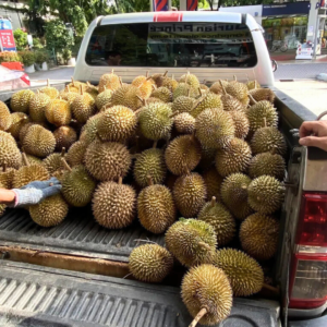 Durian Prince