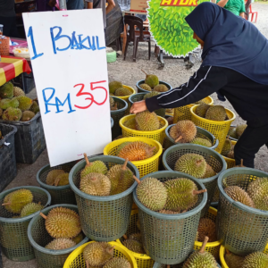 Durians Atok