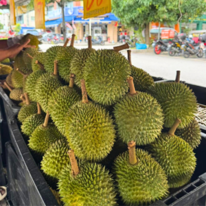 Rizky Durian